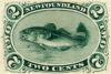 2c Cod