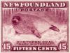 15c Seal pup